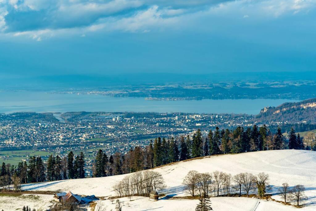 Seeparkvilla - Wohlfuehlen Am See Und Im Gruenen Брегенц Экстерьер фото